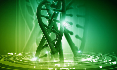 DNA分子高科技DNA分子的生物化學背景