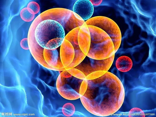 2016年全球生物技術(shù)綜合競(jìng)爭(zhēng)力評(píng)價(jià)之創(chuàng)新環(huán)境