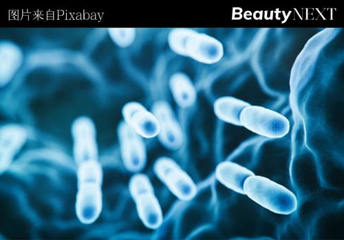 首次收購生物科技公司,歐萊雅瞄準(zhǔn) 后生元