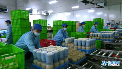 云霄 生物科技助力穩產保供，讓市民“菜籃子”拎得更穩