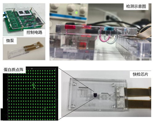 上海工研院微流控技術推進生物芯片研發，引領生物科技新浪潮